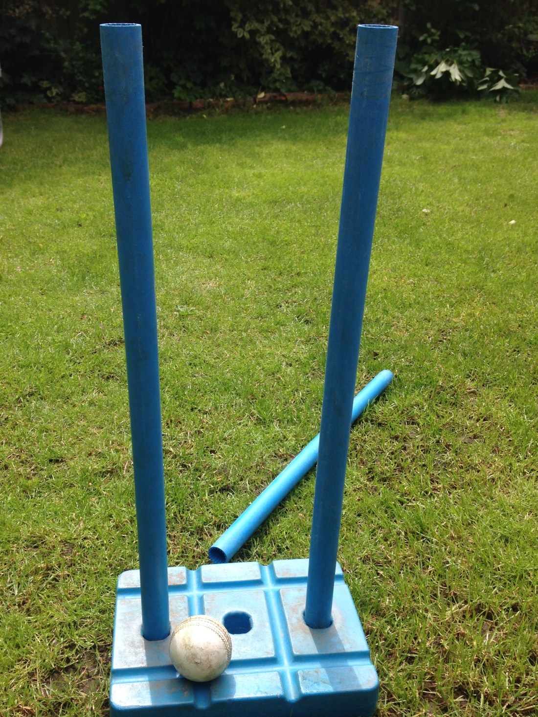 Liam Tebb, Cricket World Cup